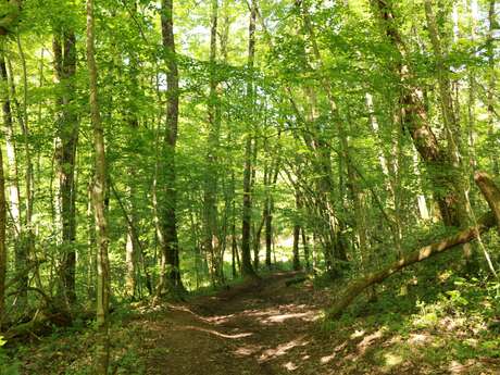 Chantier participatif - Visite de travaux
