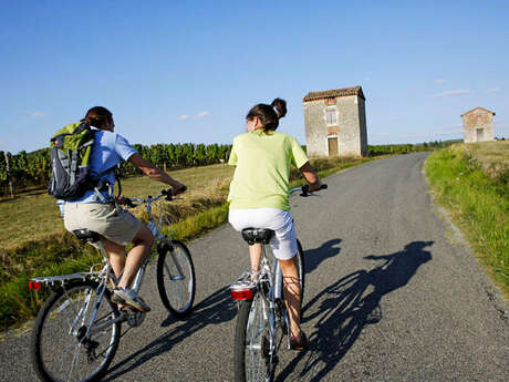 Sur la Route des Vignes