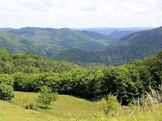 Balade-découverte à Albussac:  "Nature et paysages du site de Roche de Vic"