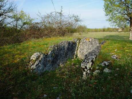 Les Dolmens de Miers