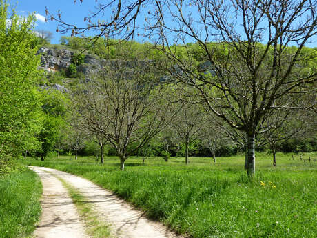 Entre Ouysse et Causse
