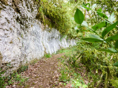 Des Rochers et des Hommes