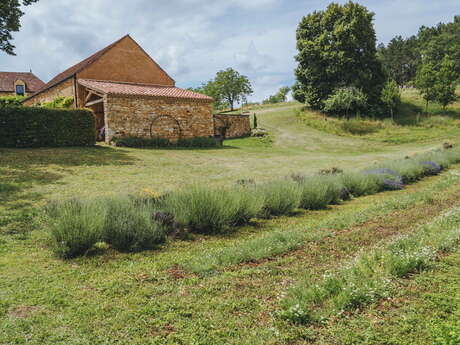 Les Producteurs en Herbes