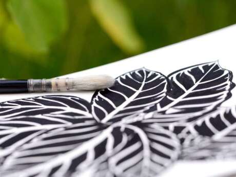 Dessin botanique et réalisation d’encre végétale à l'écomusée de Cuzals