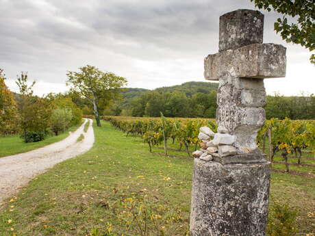 Circuit des Points de Vues