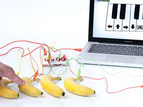 Création d'un Orchestre Végétal  made in FabLab