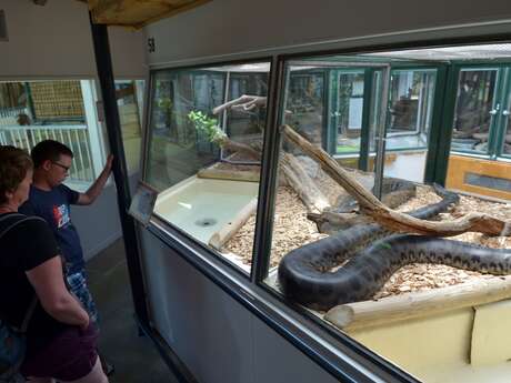 Halloween à Reptiland