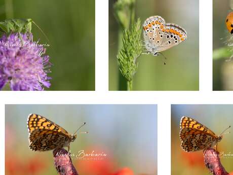 Exposition d'artistes créateurs