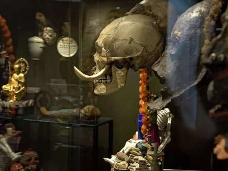 Semaine du Cerveau :  l'anatomie du temps, chroniques de modification cérébrales