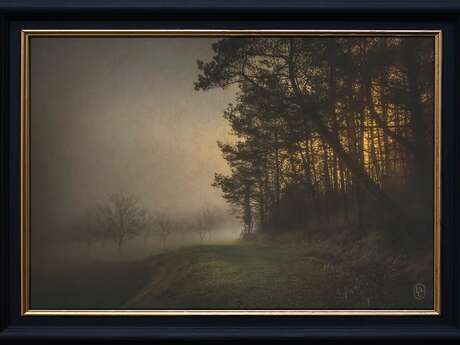 Exposition de photographie de Dan Courtice