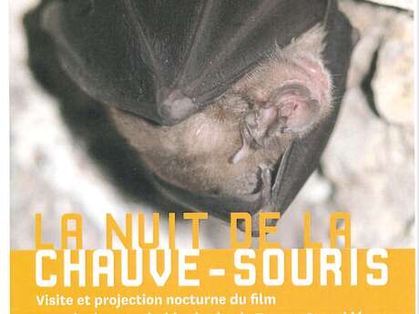 La nuit de la chauve-souris au Château d’Assier