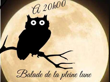 Balade de la pleine lune, Le Bourg