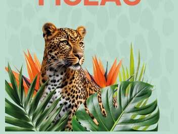 Salon passion voyages à Figeac