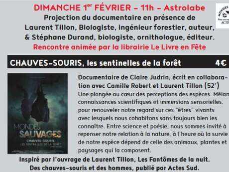 Ciné-rencontre à Figeac : chauves-souris, les sentinelles de la forêt