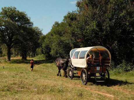 Séjour aventure nomade "Reprendre sa vie en main"
