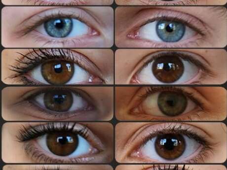 Exposition "Perceptions"