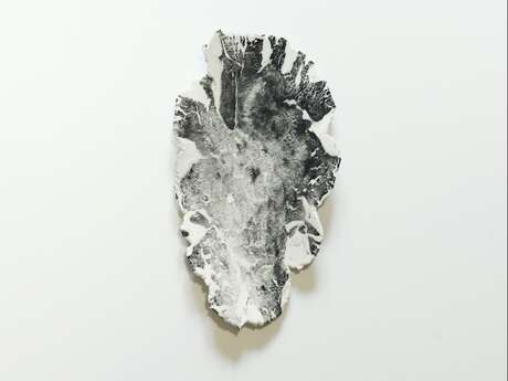 Exposition "Affinités Biomorphiques" - Art Contemporain