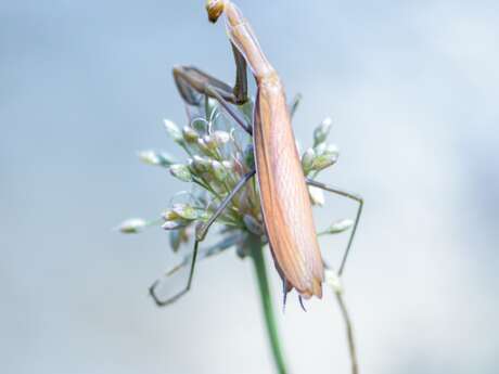 Parcours Photographiques
