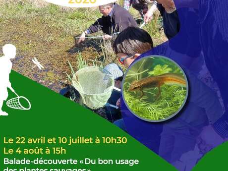 Balade-découverte "Du bon usage des plantes sauvages"  au lac du Tolerme