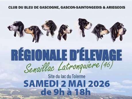 Régionale d’élevage de chiens au lac du Tolerme