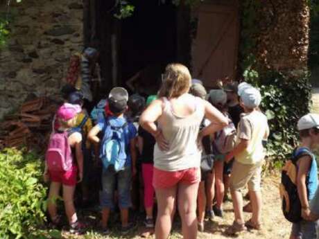 Séjour Créatif à la Ferme des Cerisiers "L'été magique de Narnia"