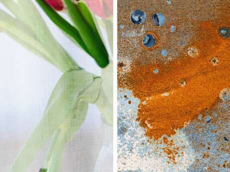 Exposition Parcours Photographiques