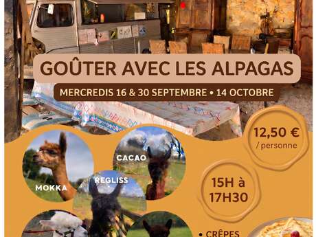 Goûter avec les alpagas à Fons
