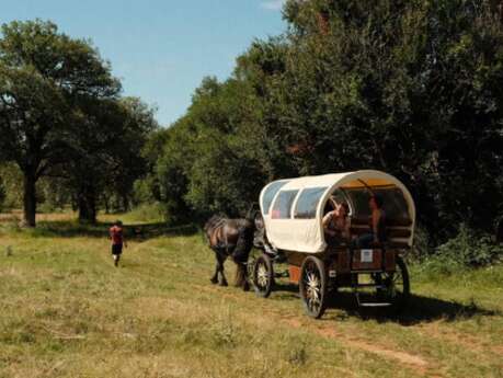Nomades des Terres : Balades Contées