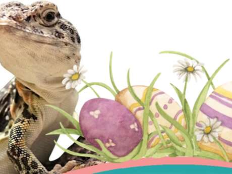 Weekend de Pâques à Reptiland