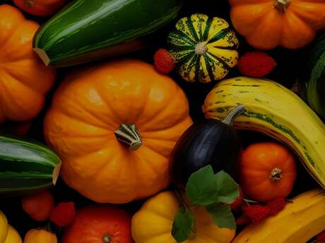 Le Lot de Ferme en Ferme : Découverte de la ferme du Marais de Gagnac