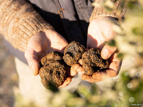 Marché de la Truffe de Souillac