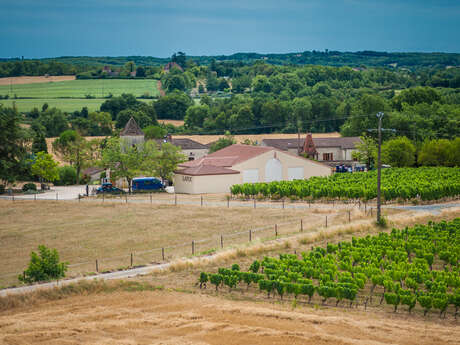 Château Latuc