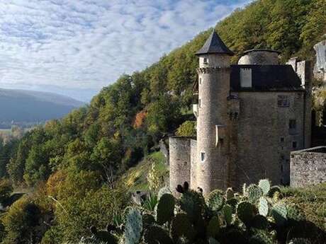 Rendez-Vous aux Jardins "Jardin du Château de Larroque Toirac"