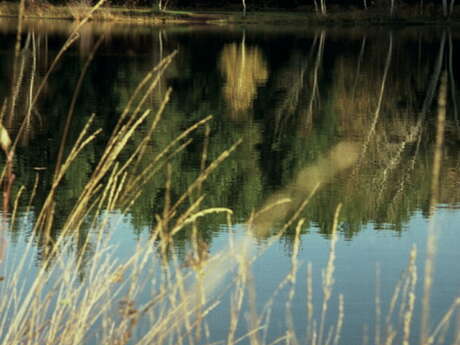 Le Plan d'Eau des Sagnes