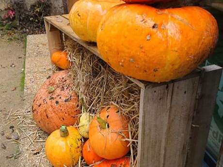 Halloween à Souillac