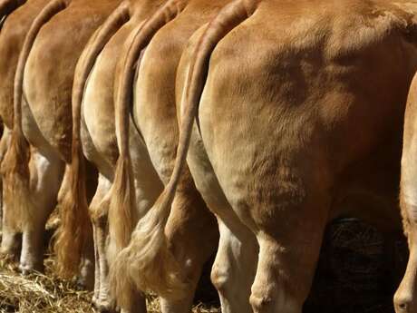 Comice agricole de Forgès