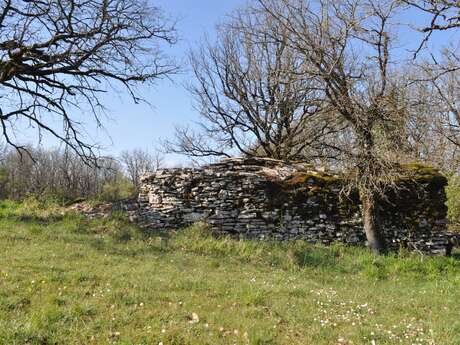 Le son des paysages - Balade sonore