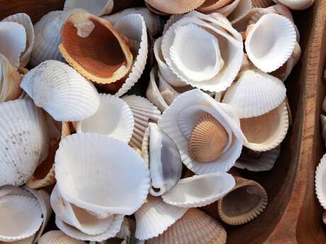 Les "Rendez-vous Nature" en famille : "Construction d'un mobile végétal" au Jardin Bourian