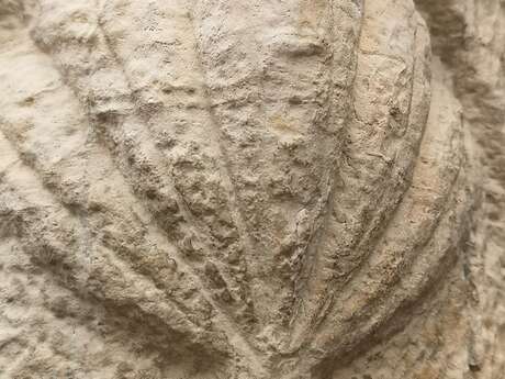 Conférence de Patrice Foissac : "Les chemins de pèlerinage en Quercy"