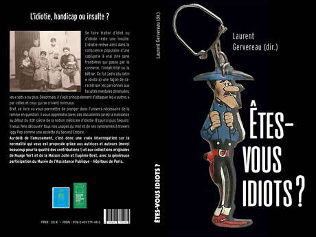 Etes vous idiot ? Mais encore