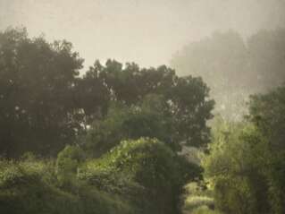 Exposition de photographies de Dan Courtice