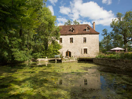 Pays d'Art et d'Histoire : Creysse - Visite nature LPO  - Des chauves souris et des hommes, habiter le patrimoine