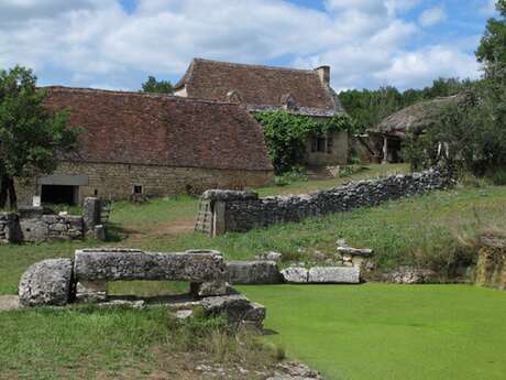 Plantes et Cie : pastoralisme et protohistoire, écomusée de Cuzals