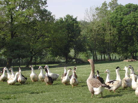 Ferme d'Esparnol