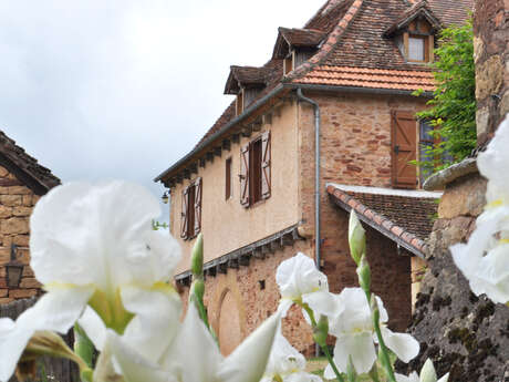 Gîte  "Au pied du Château de Castelnau"