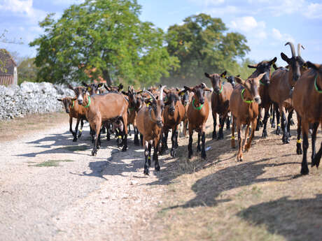 Ferme Pédagogique "La Borie d'Imbert"