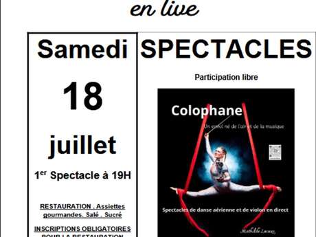 Spectacle de Danse aérienne avec violons "Colophane"