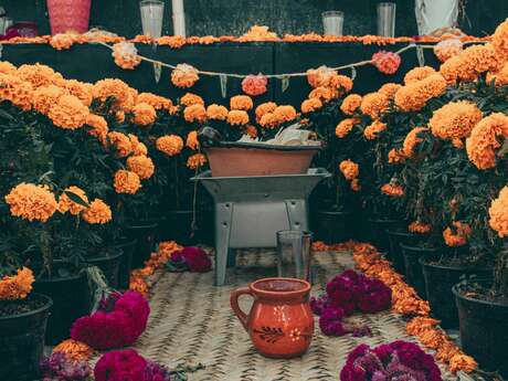 Exposition "Dia de los muertos"