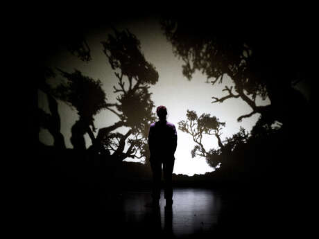 Théâtre de l'Usine - Dominique toute seule