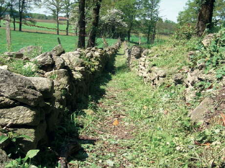 Circuit des Chemins Creux et Châtaigniers